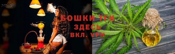 PSILOCYBIN Верхний Тагил