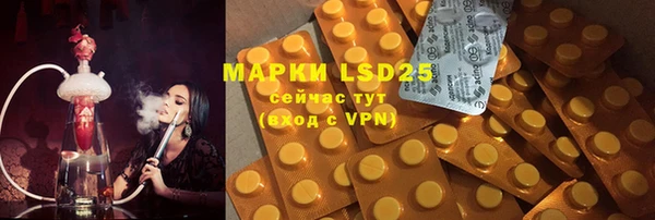 PSILOCYBIN Верхний Тагил