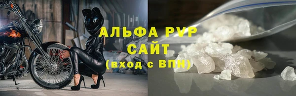 PSILOCYBIN Верхний Тагил