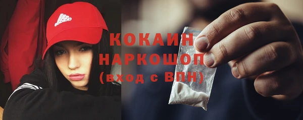 PSILOCYBIN Верхний Тагил