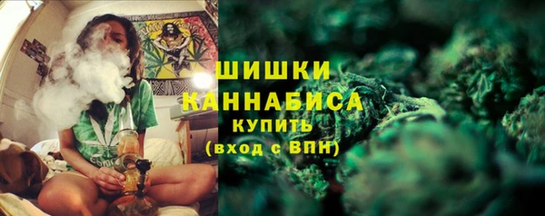 PSILOCYBIN Верхний Тагил