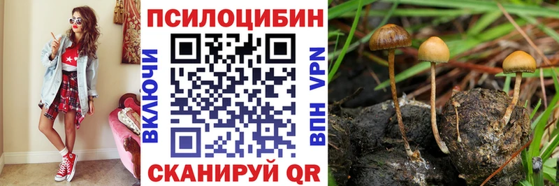 Псилоцибиновые грибы Psilocybe  Купить где  Володарск 