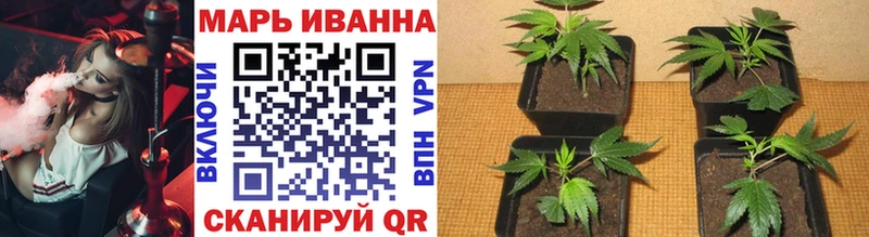 Купить закладки  Володарск  Бошки Шишки конопля 